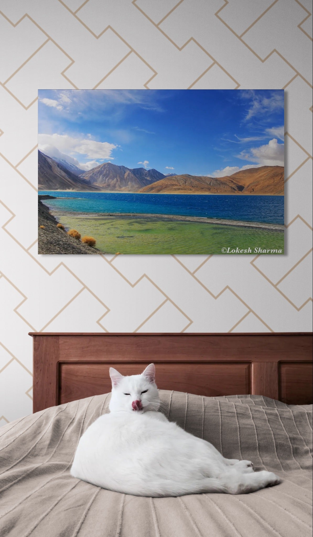 The Calmness in Sapphire at Pangong Tso Lake in Ladakh